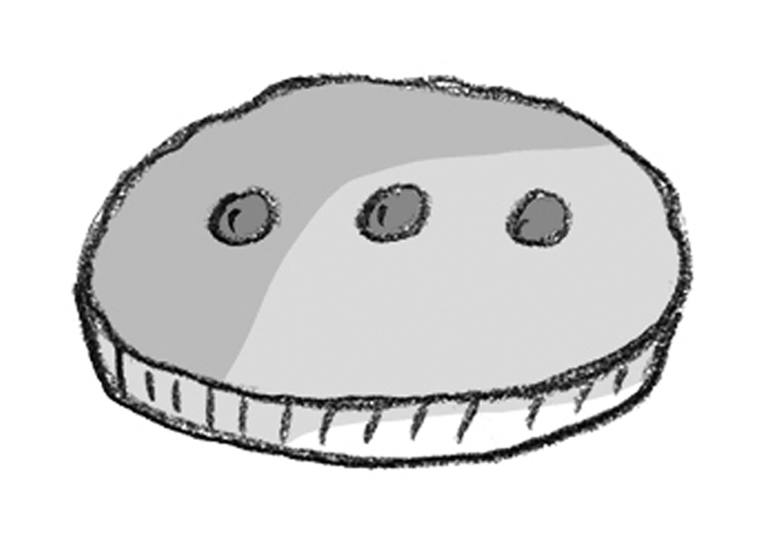 Madagascar-Pie