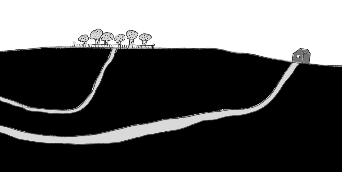Orange Grove
