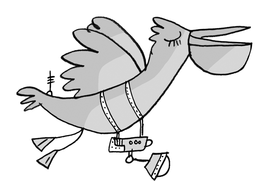 Pelican-camera