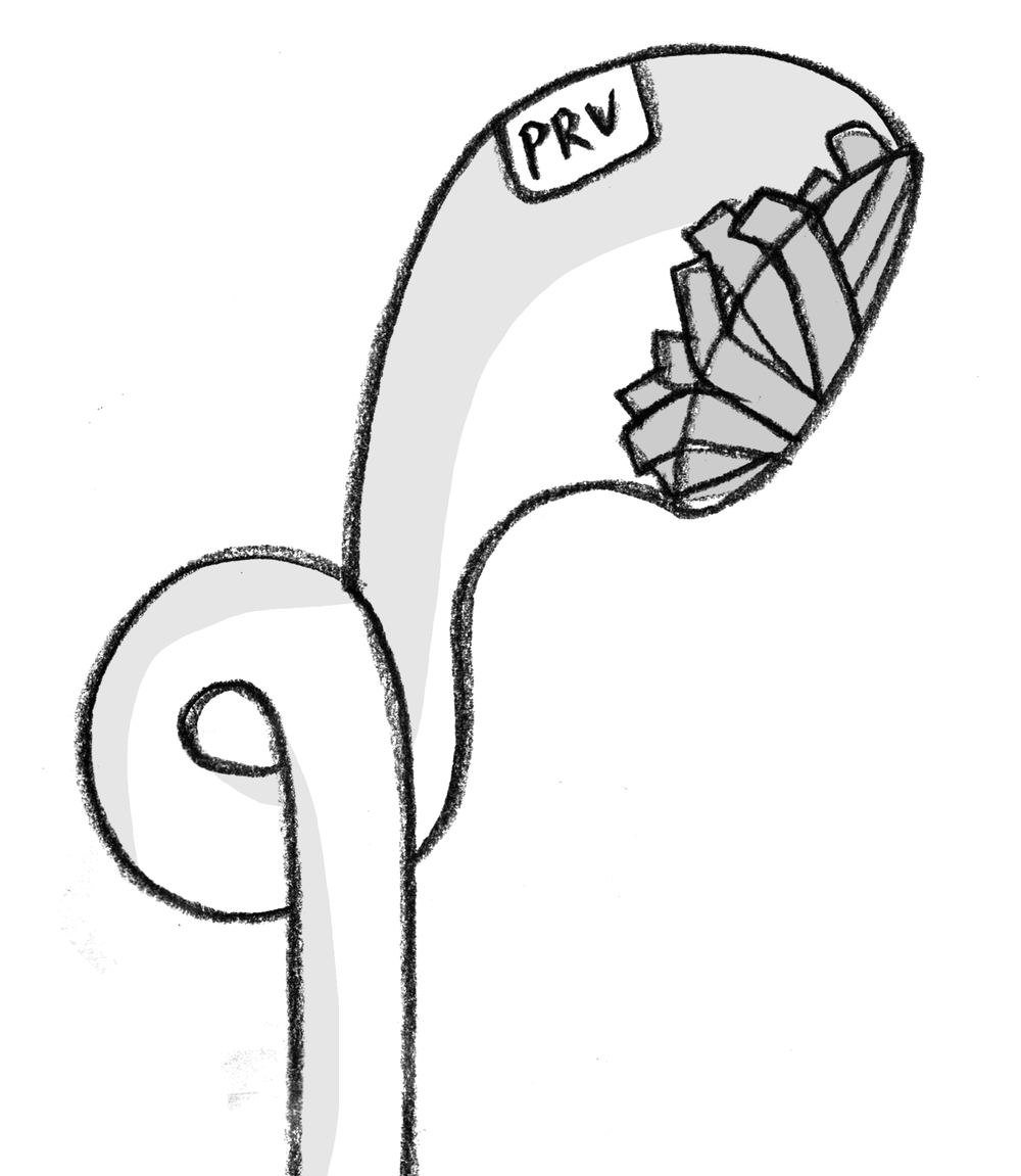 Penguin Release Valve