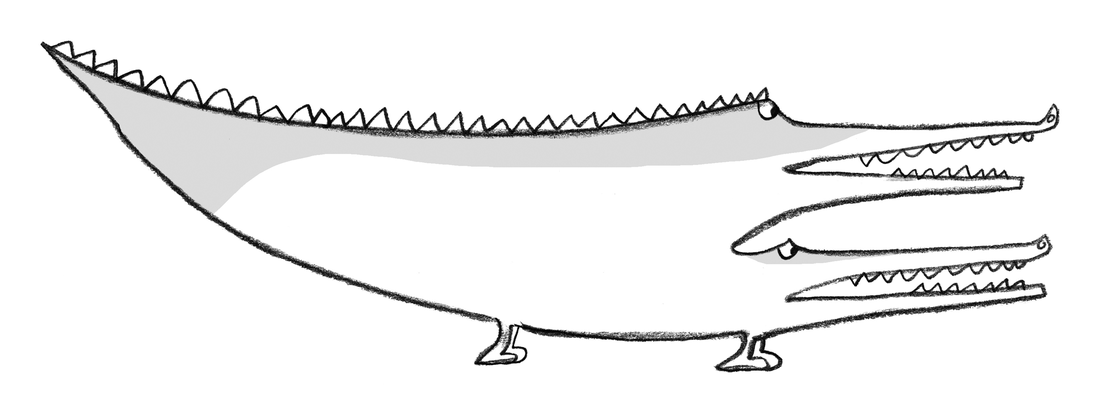 Saw-toothed Doublodiles