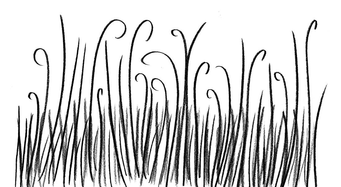 Smellephant Grass