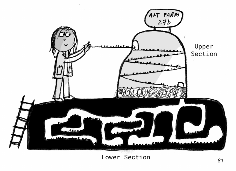 Ant Farm 27b