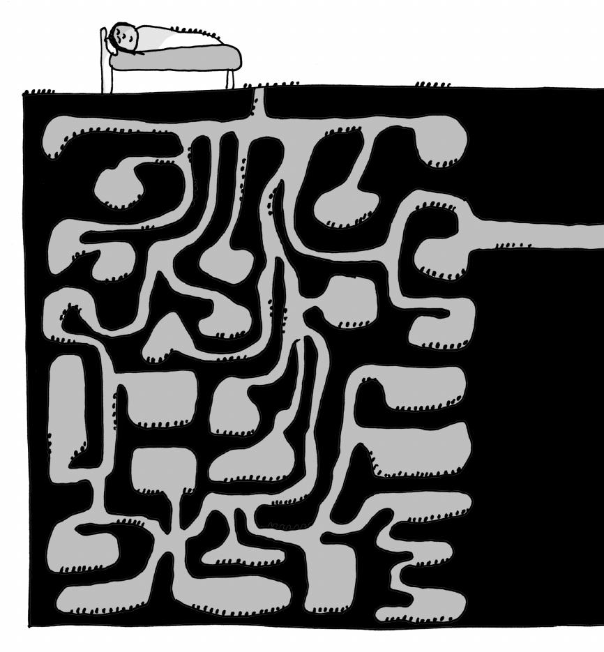 Ant Farm 41a